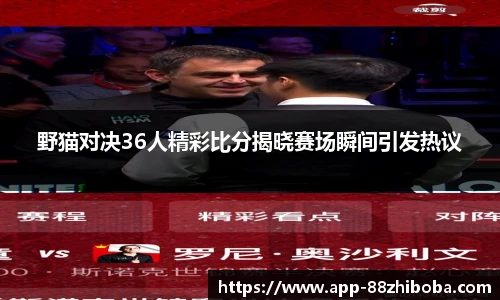 野猫对决36人精彩比分揭晓赛场瞬间引发热议